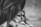 A person with long hair is hugging a small dog, possibly a Chihuahua, close to their chest. The person is wearing a watch on their wrist, which is partially visible. The image is black and white, giving it a classic and timeless feel.