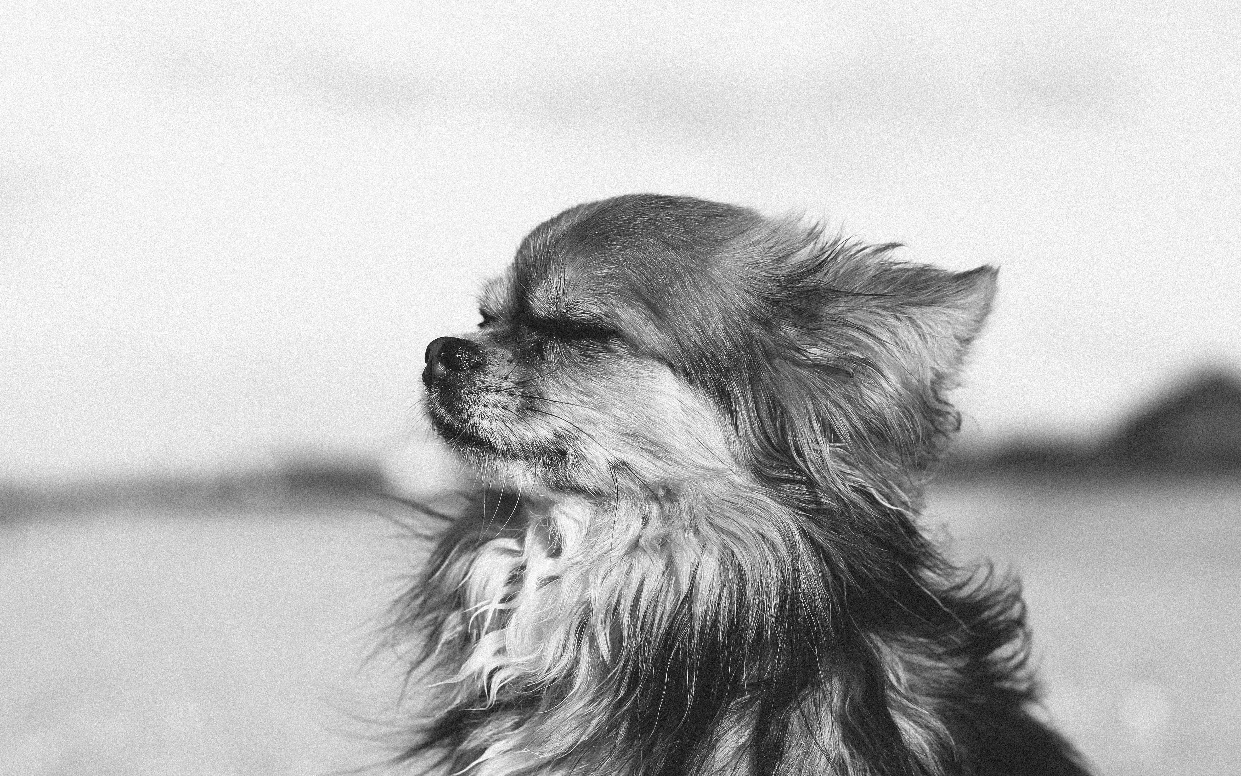 Photo by fanny_charlie