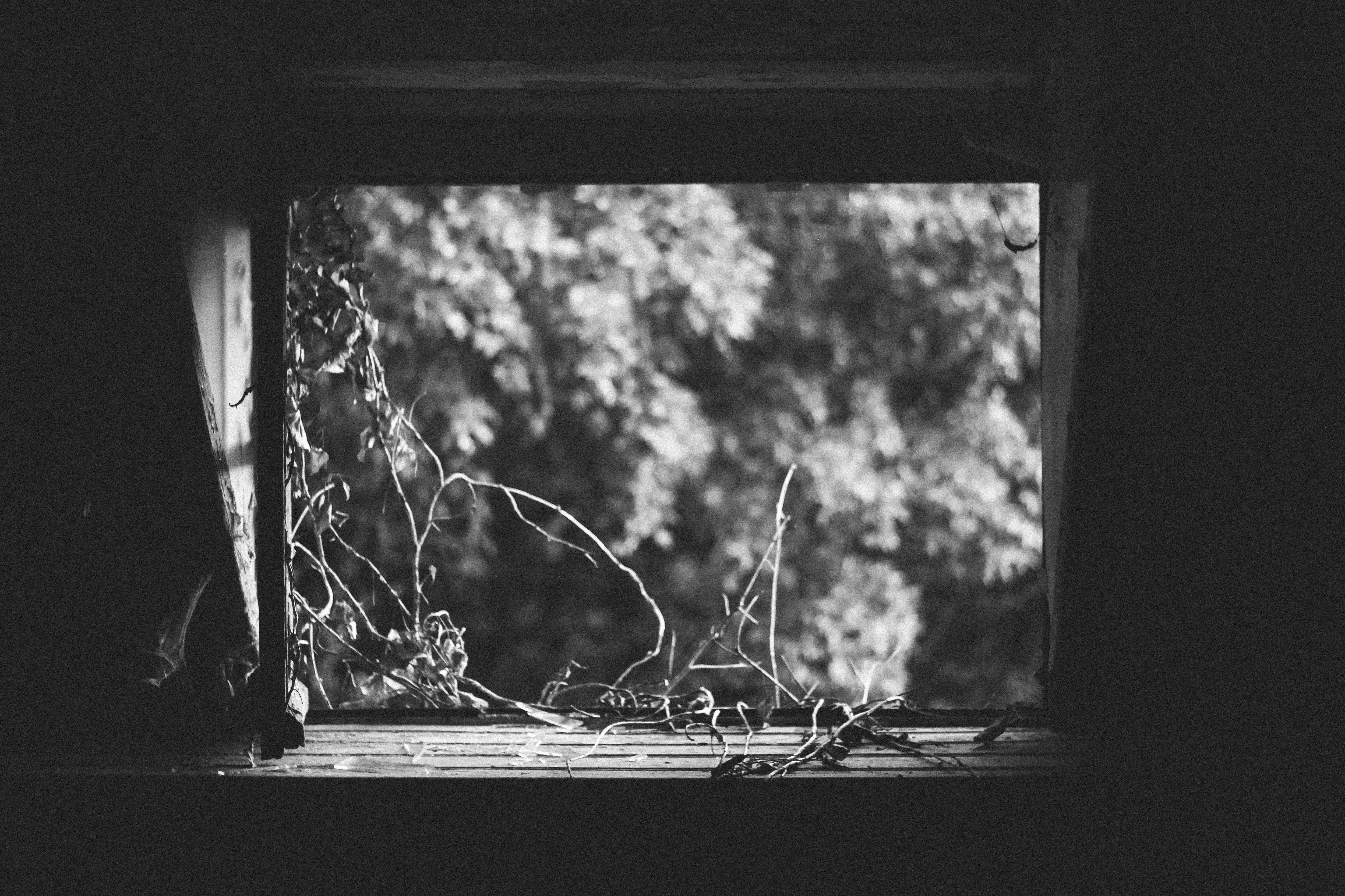 Photo by fanny_charlie