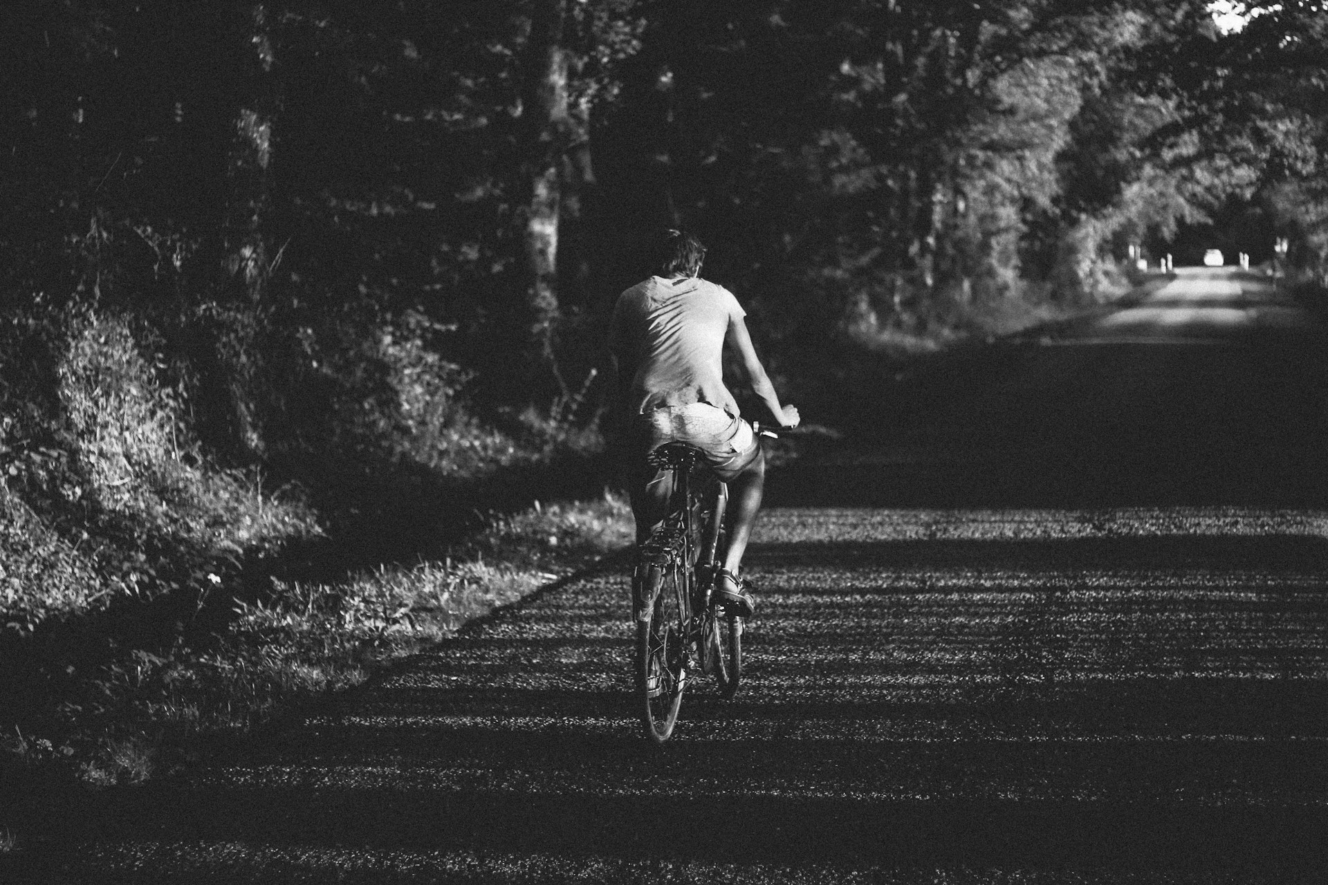 A cyclist riding along a scenic path with trees and sunlight filtering through, conveying progress.