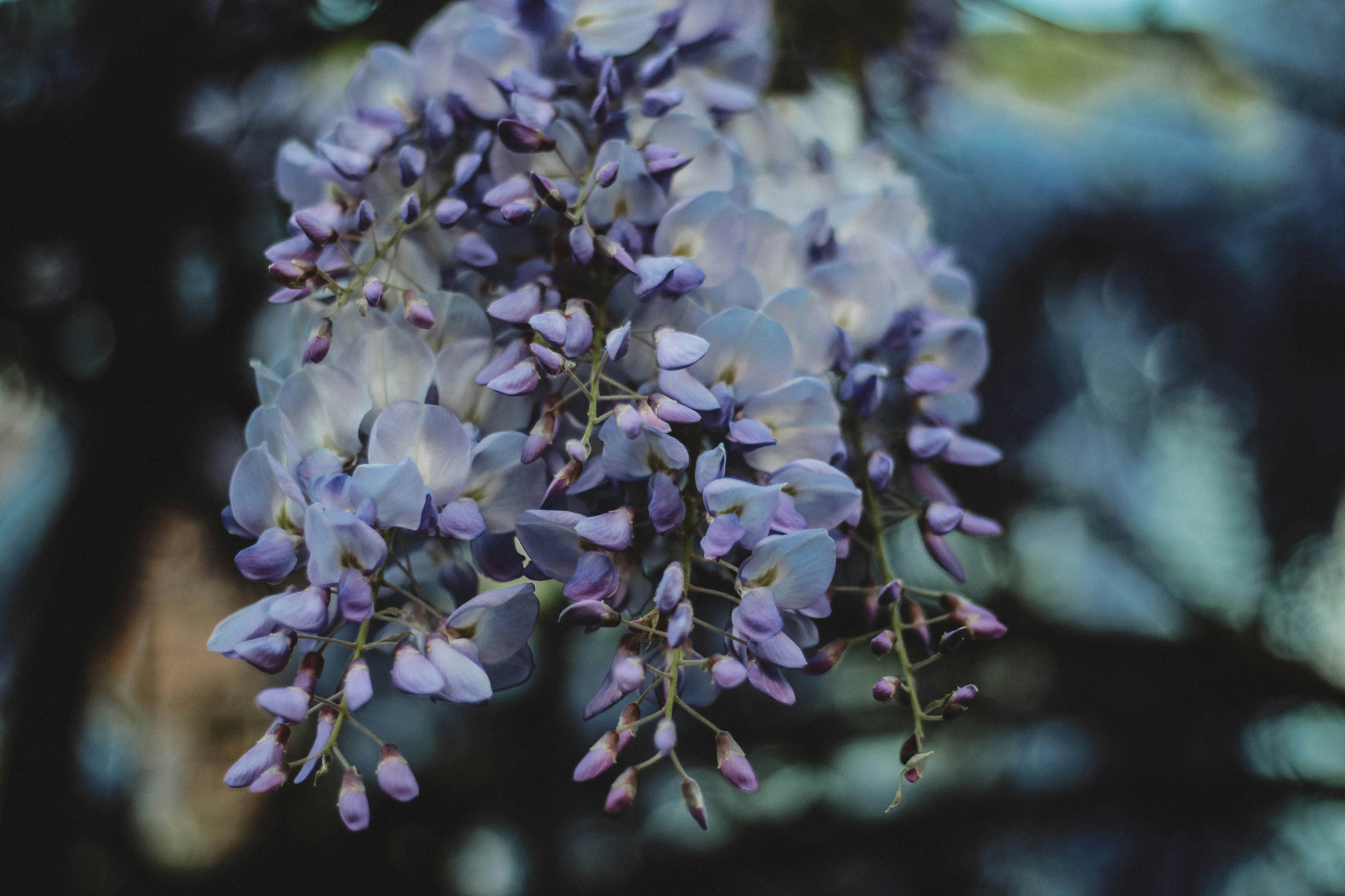 Photo by fanny_charlie