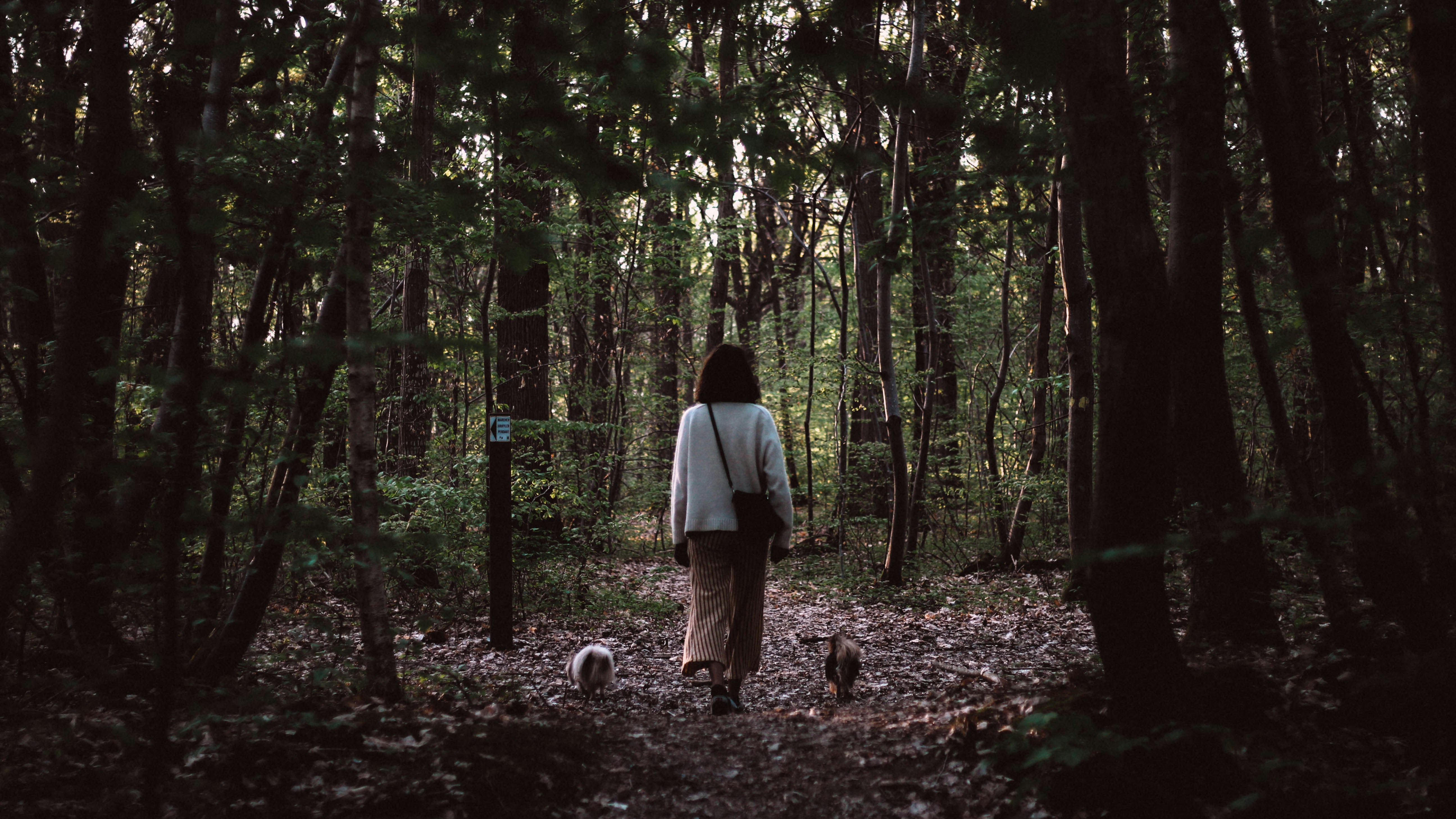 woman standing near trees