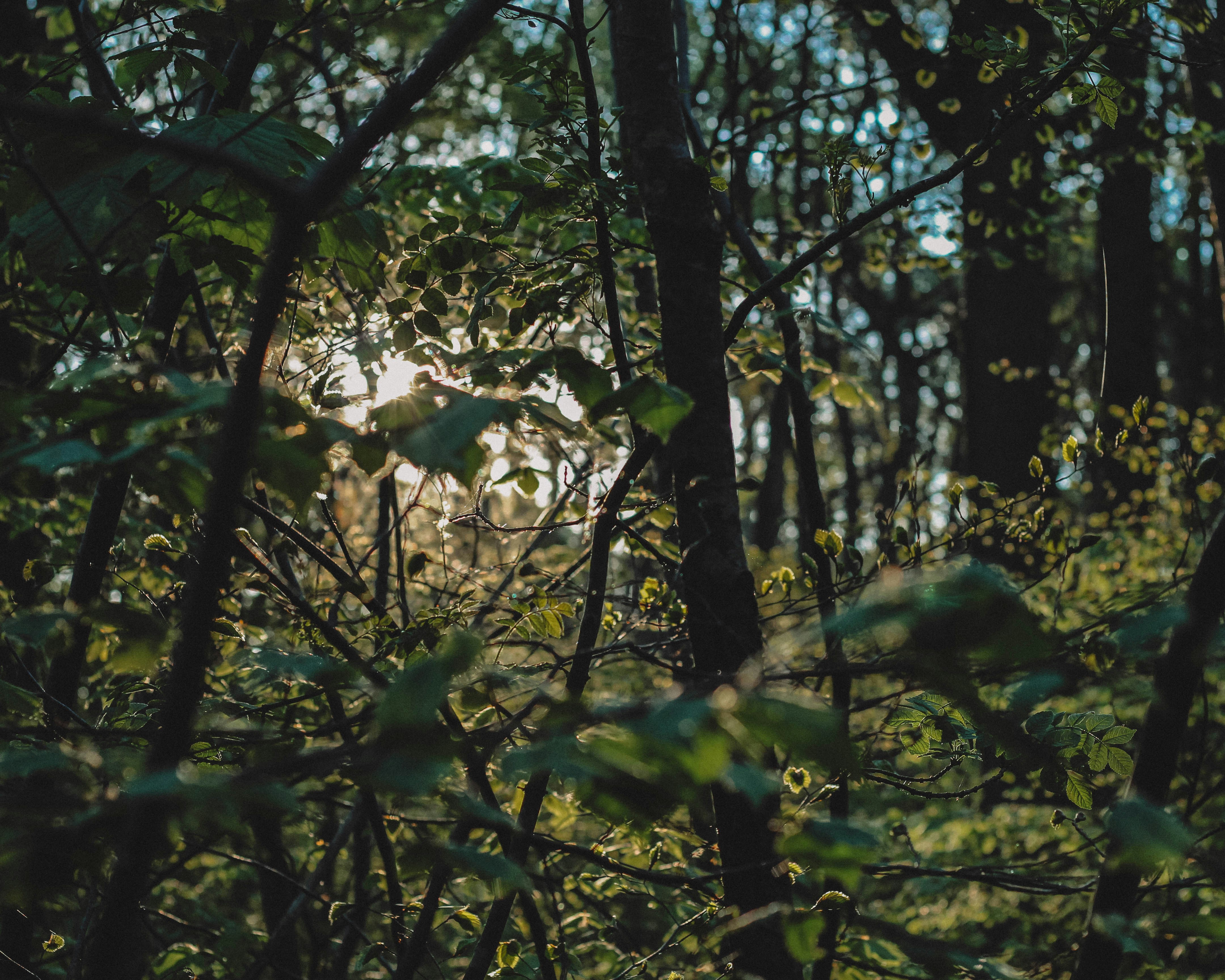 Photo by fanny_charlie