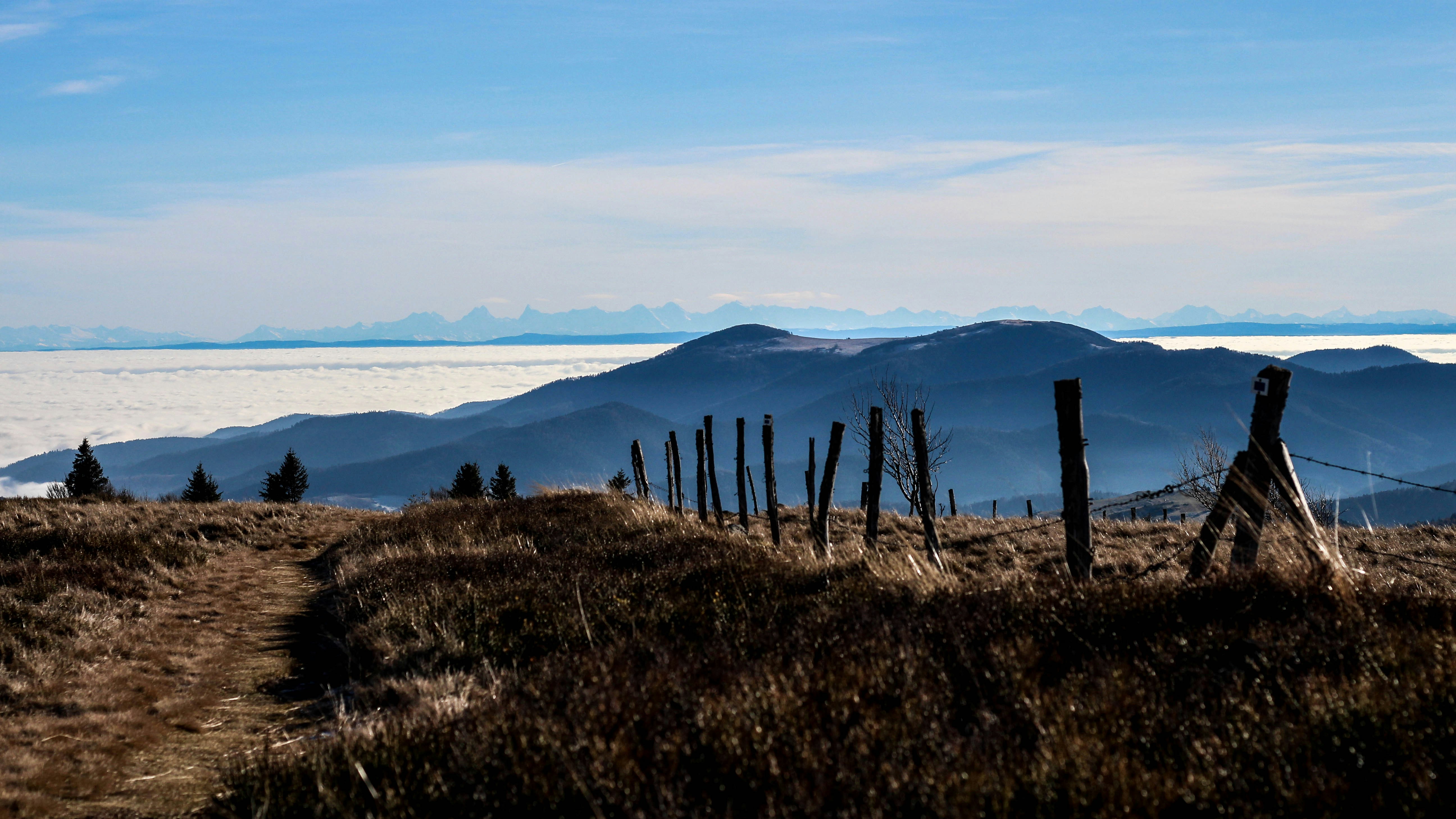 Photo by fanny_charlie