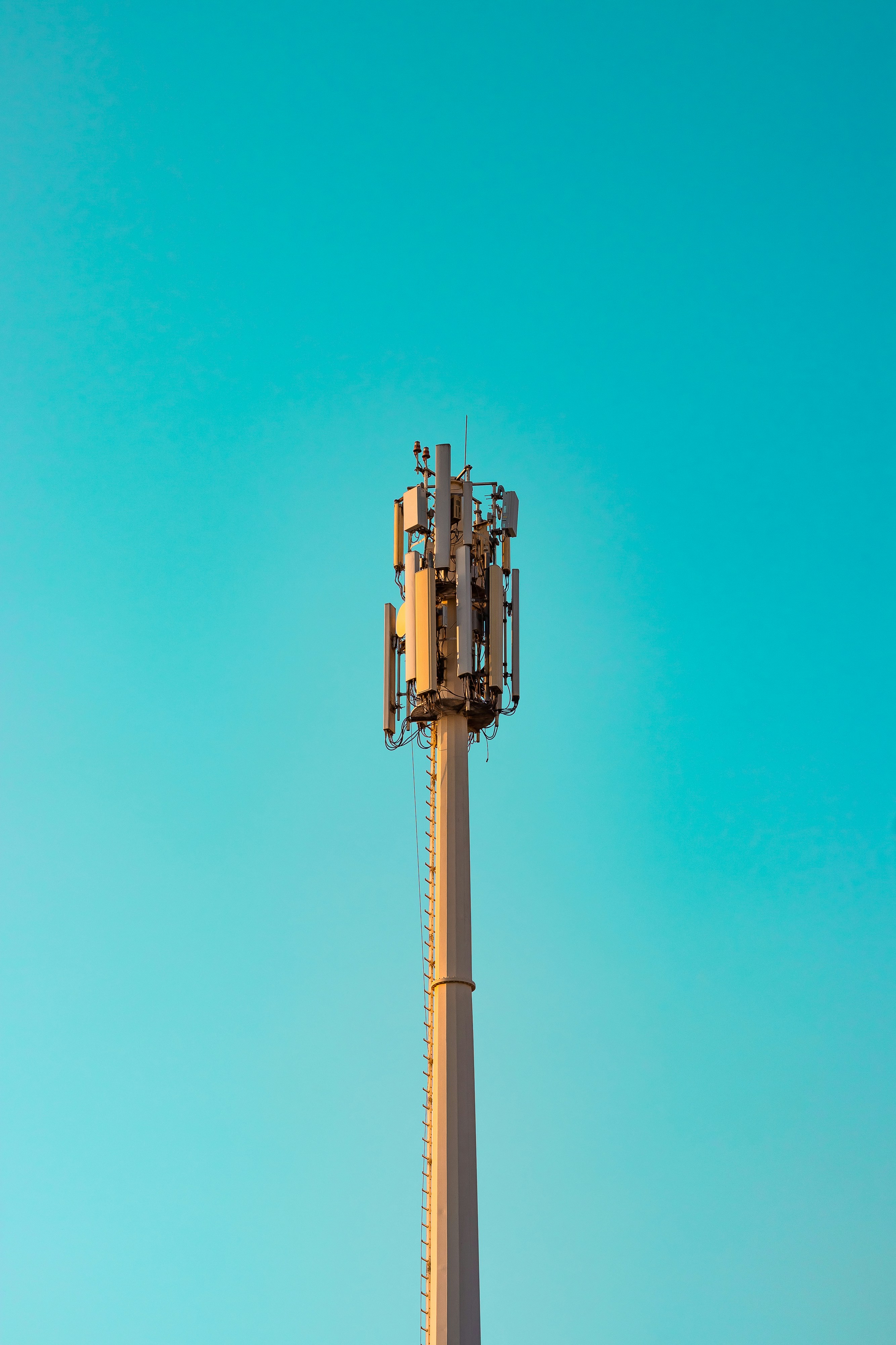 Photo by malikshibly