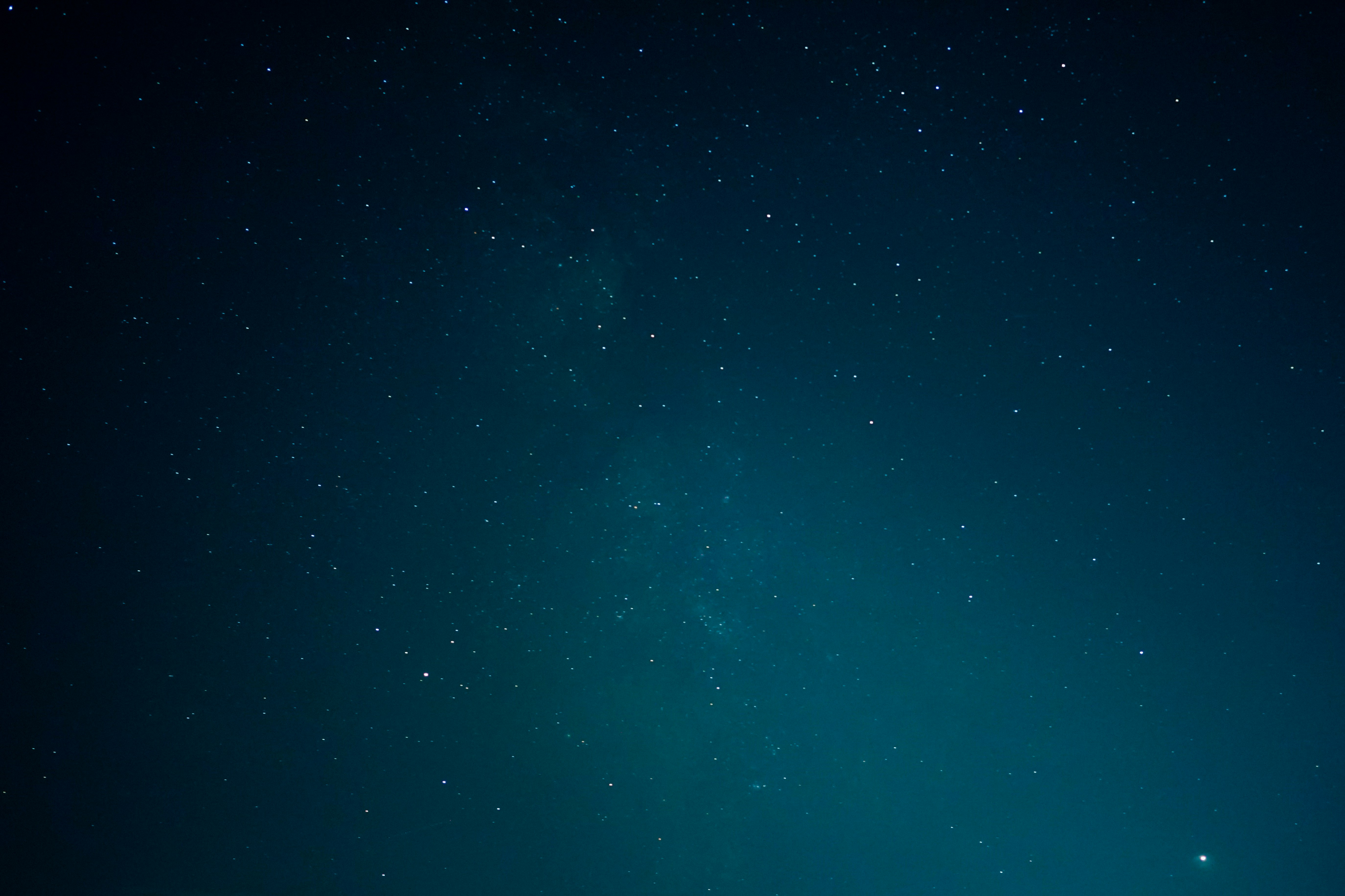 Pavecoin header image