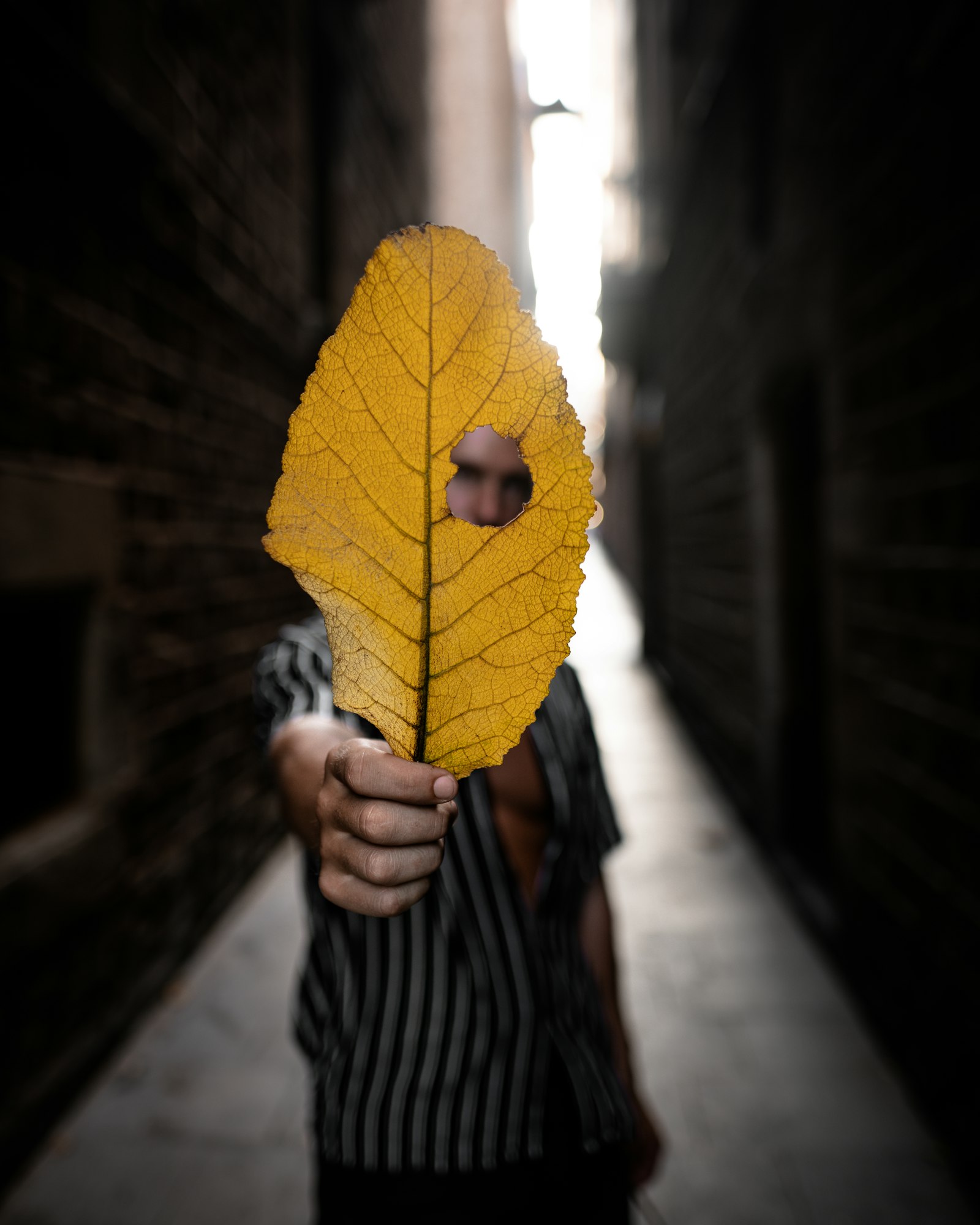 Sony a7R II + Sigma 24mm F1.4 DG HSM Art sample photo. Person holding dry leaf photography