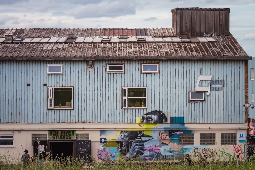 blue and brown house