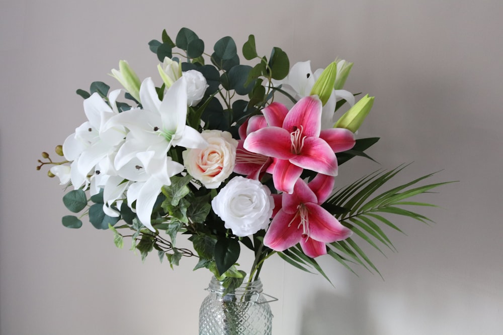 green-leafed plant with pink and white flowers