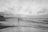 A solitary figure stands on the edge of a shoreline with a fishing rod, casting into the waves under a cloudy sky. The beach is expansive with gentle waves lapping against the sand. A small bird is visible near the shoreline, and a structure, possibly a house on stilts, is positioned on the left side in the distance.