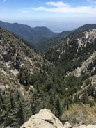 A serene Himalayan valley showcasing lush green forests and native plants.