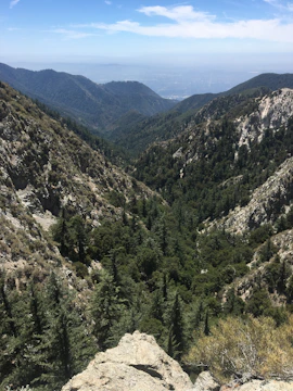 A serene Himalayan valley showcasing lush green forests and native plants.