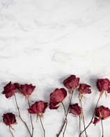 red roses on white surface