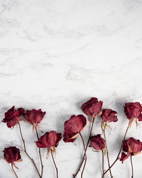 red roses on white surface