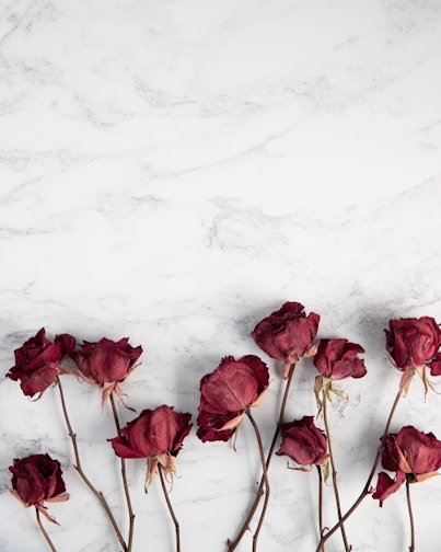 red roses on white surface