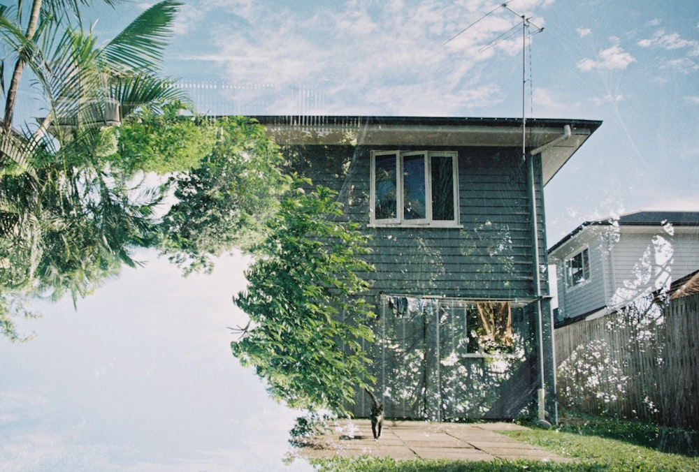 green leaf tree beside house