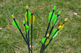 Vibrant arrows with colorful fletching lined up against a target backdrop.