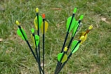 Several arrows with bright green and yellow fletchings are stuck upright in grass. The shafts of the arrows are dark in color, and some have inscriptions on the fletchings.