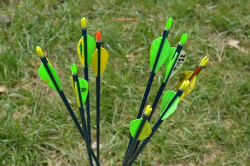 Several arrows with bright green and yellow fletchings are stuck upright in grass. The shafts of the arrows are dark in color, and some have inscriptions on the fletchings.