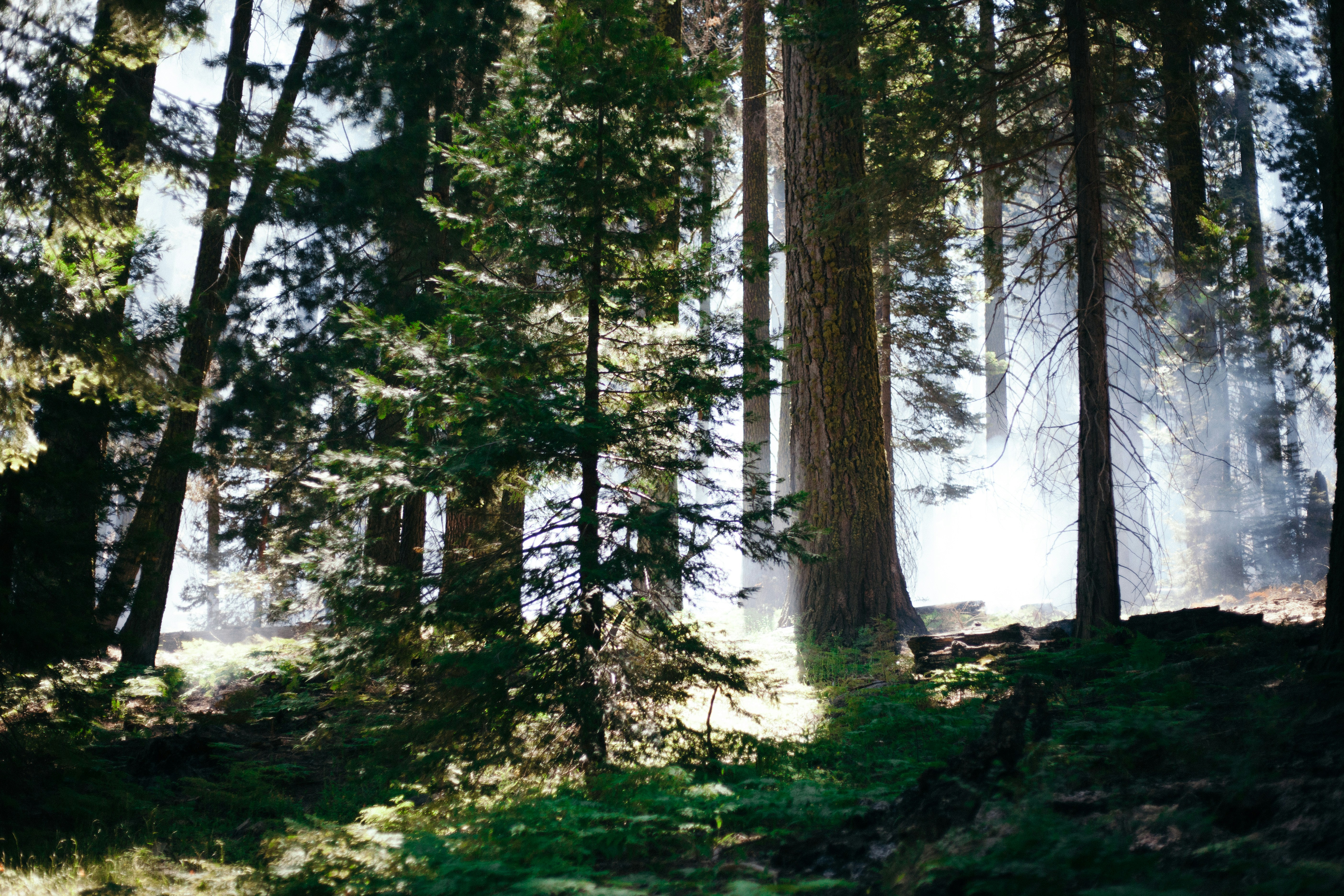 Photo by reallygoodjames