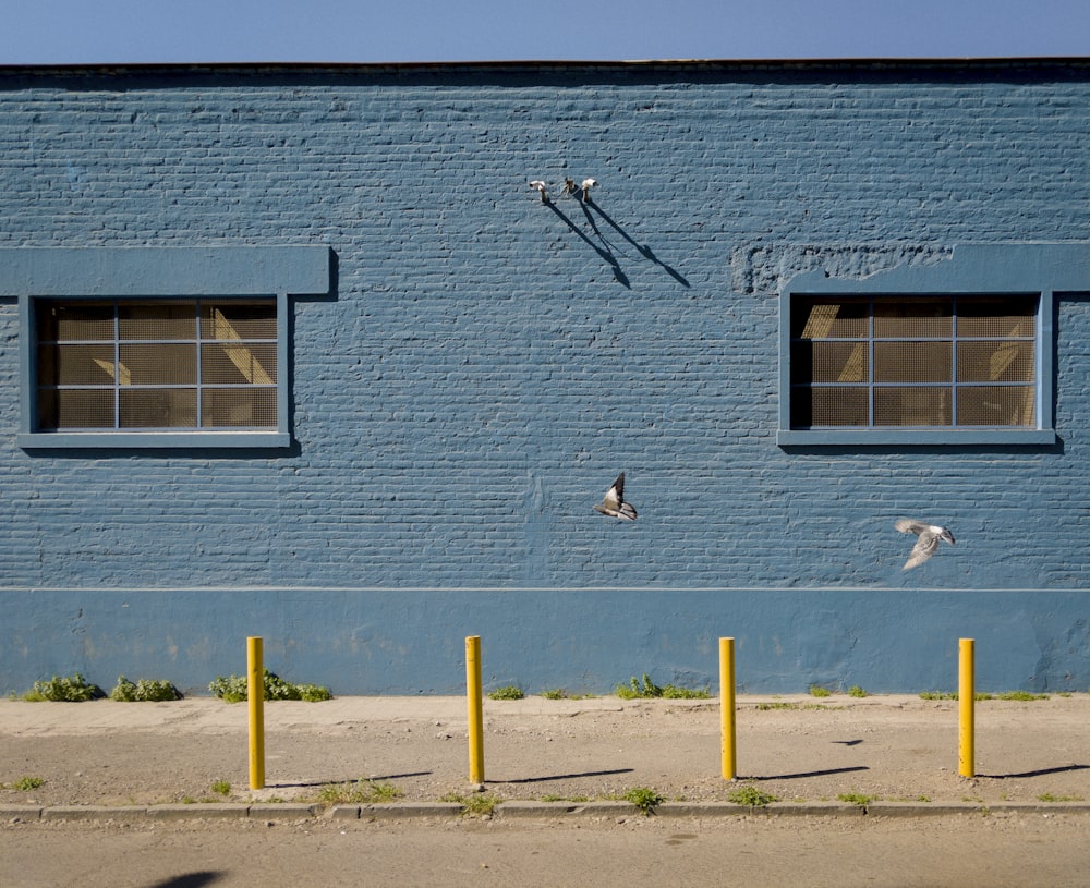 four yellow posts near teal wall