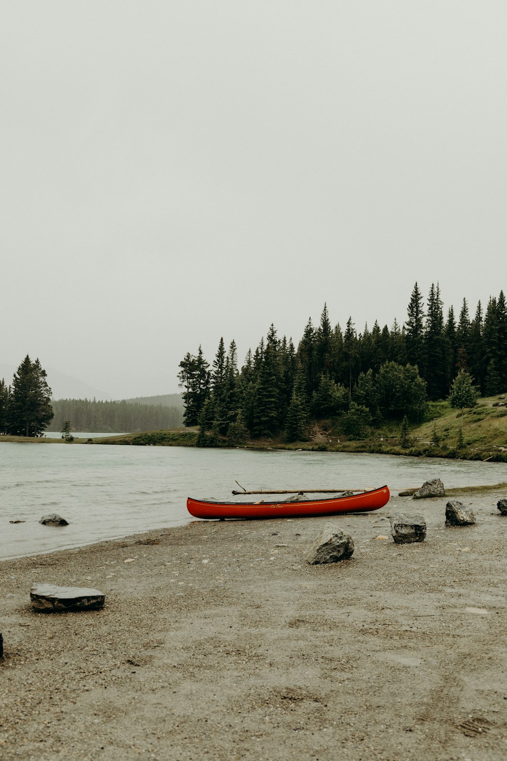 kayak on seashore near pine trees