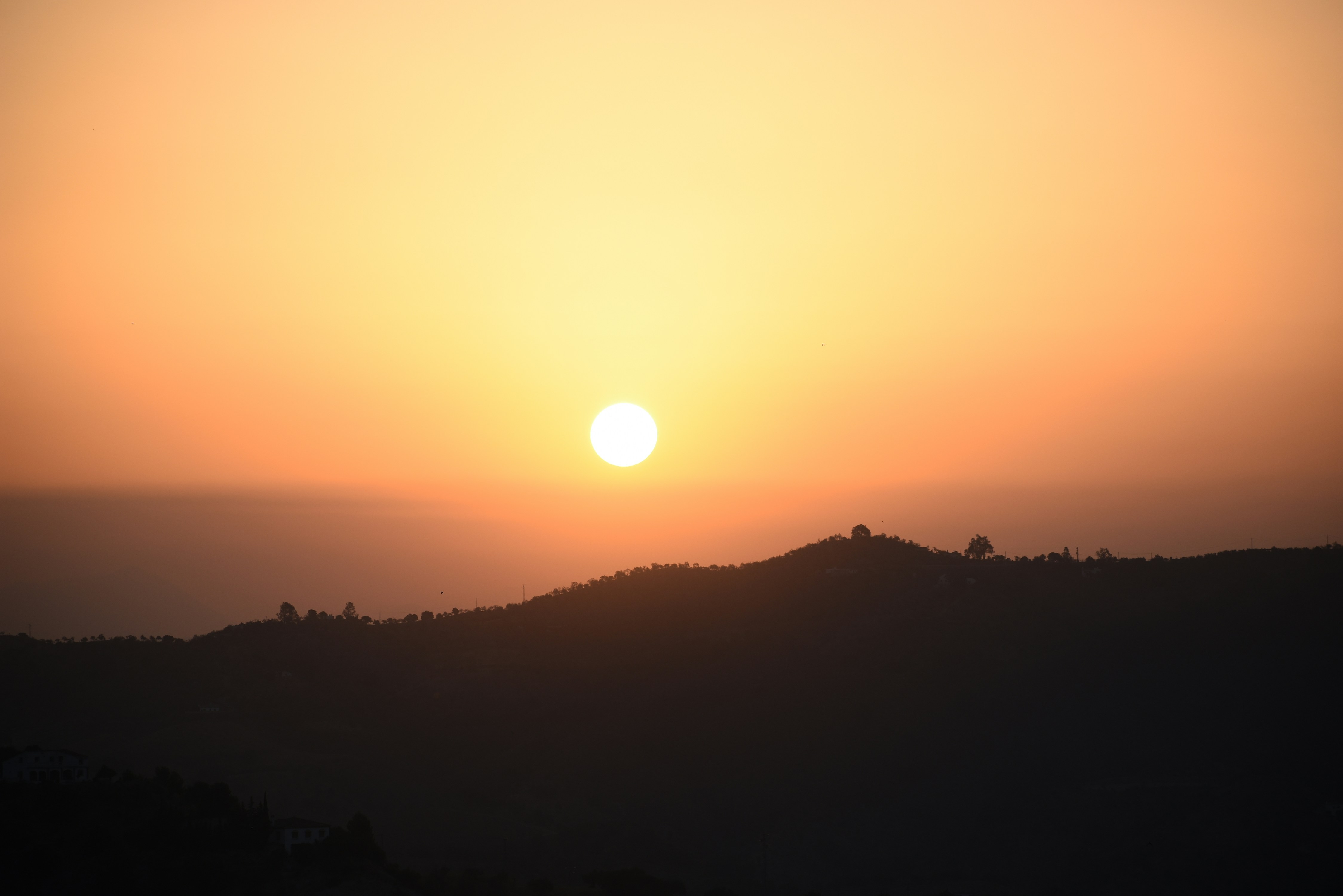 Photo by cathneville