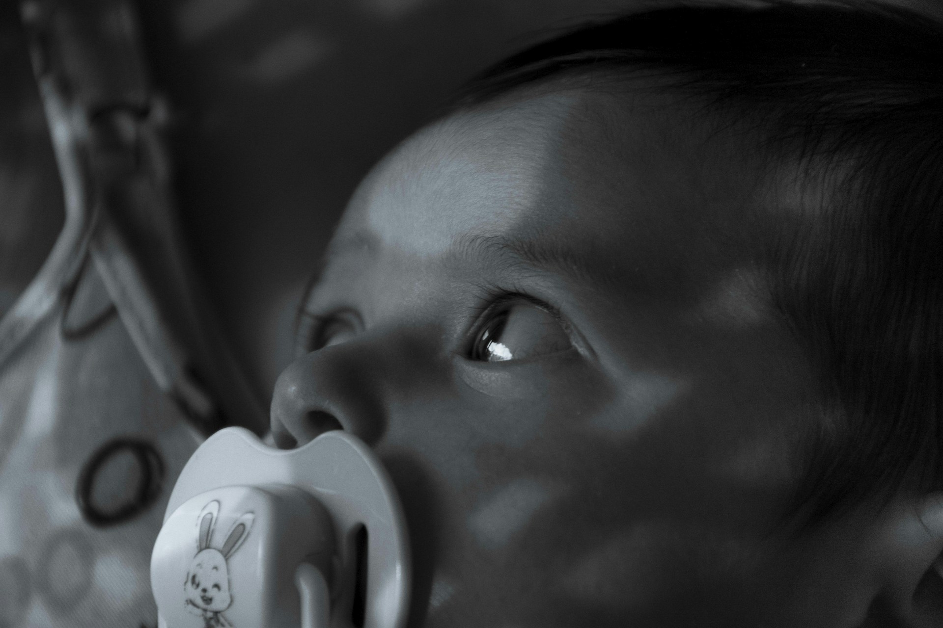woman holding dried flower