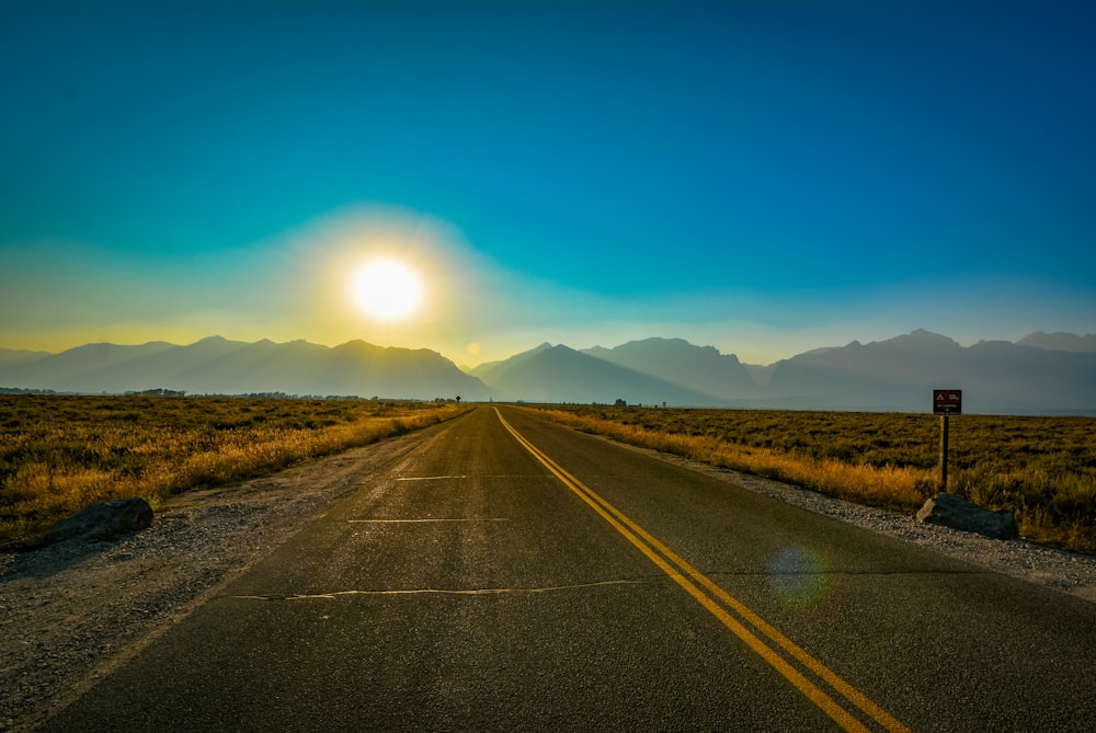 panoramic view of highway between bushes during sunrise