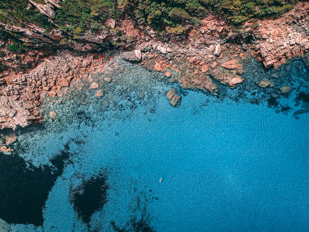 aerial photo of shore