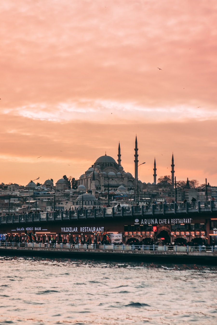 Eminönü & the mosque skyline