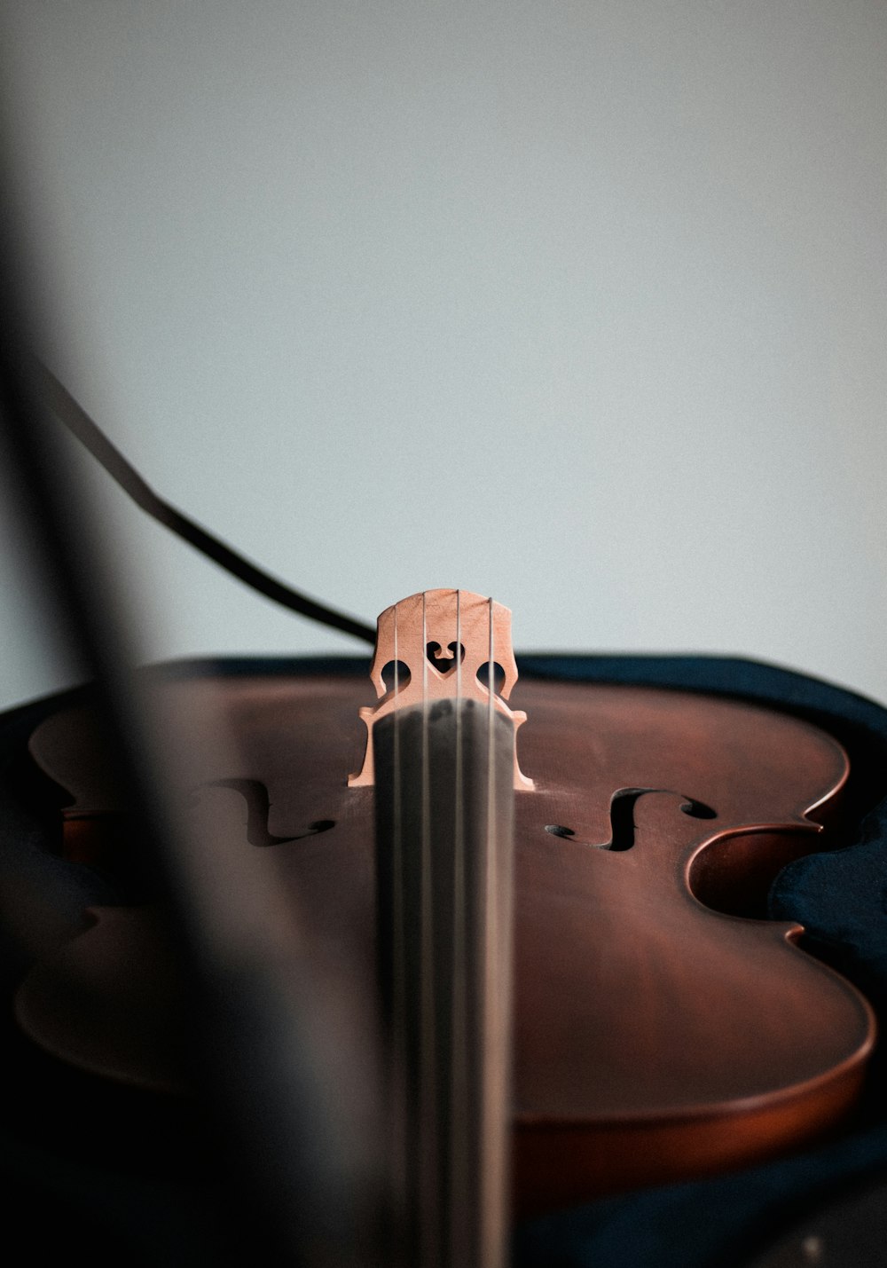 brown violin