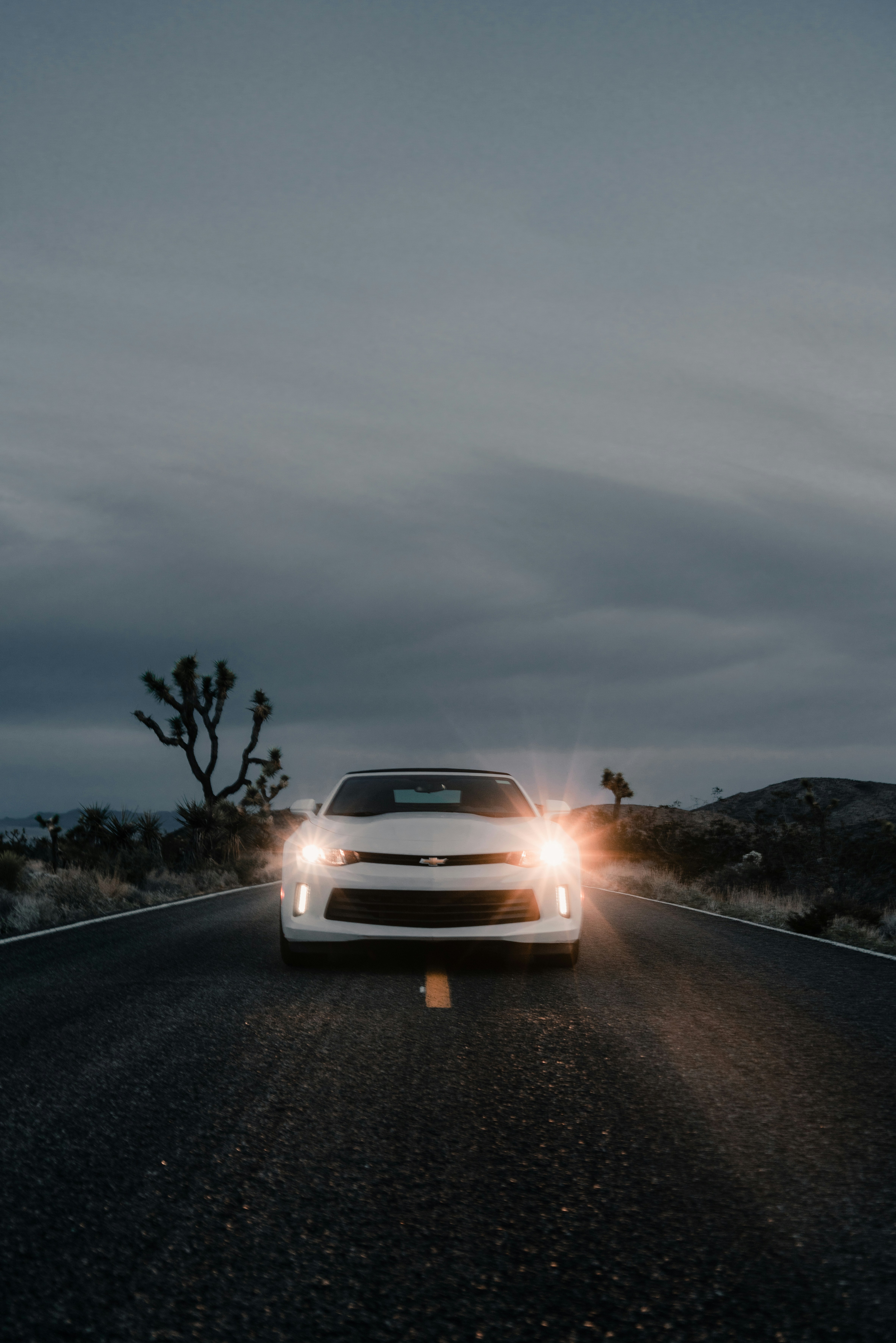 Photo by tmc3reation