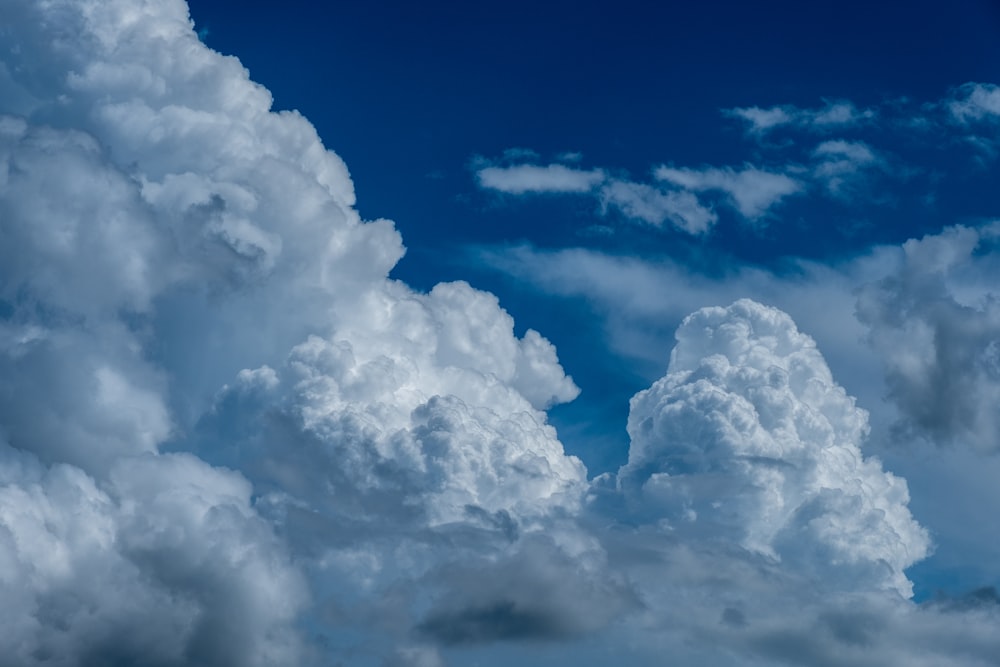 white and blue sky close-up photography