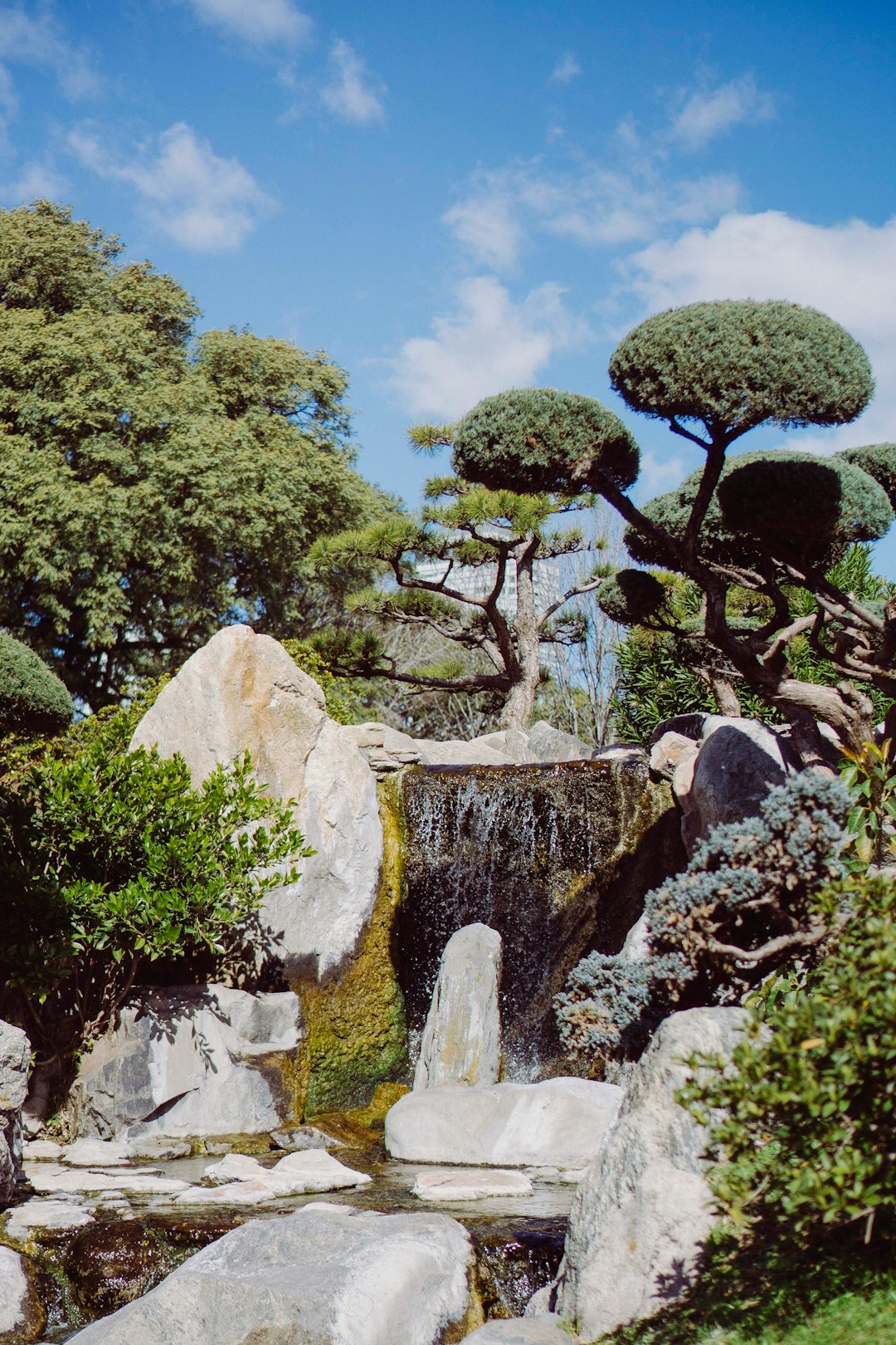 boulders surrounded by green trees during daytime
