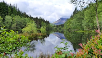 A vibrant photo of a peaceful lake surrounded by lush greenery.