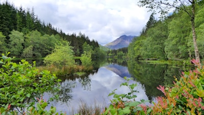 A vibrant photo of a peaceful lake surrounded by lush greenery.