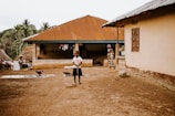 A young child stands in a dusty village area holding a stick, surrounded by traditional houses with rusty metal roofs. In the background, a woman dressed in colorful clothing and another person can be seen near the entrance of one of the homes. Chickens roam freely on the ground, and there are palm trees in the distance, contributing to a rural setting.