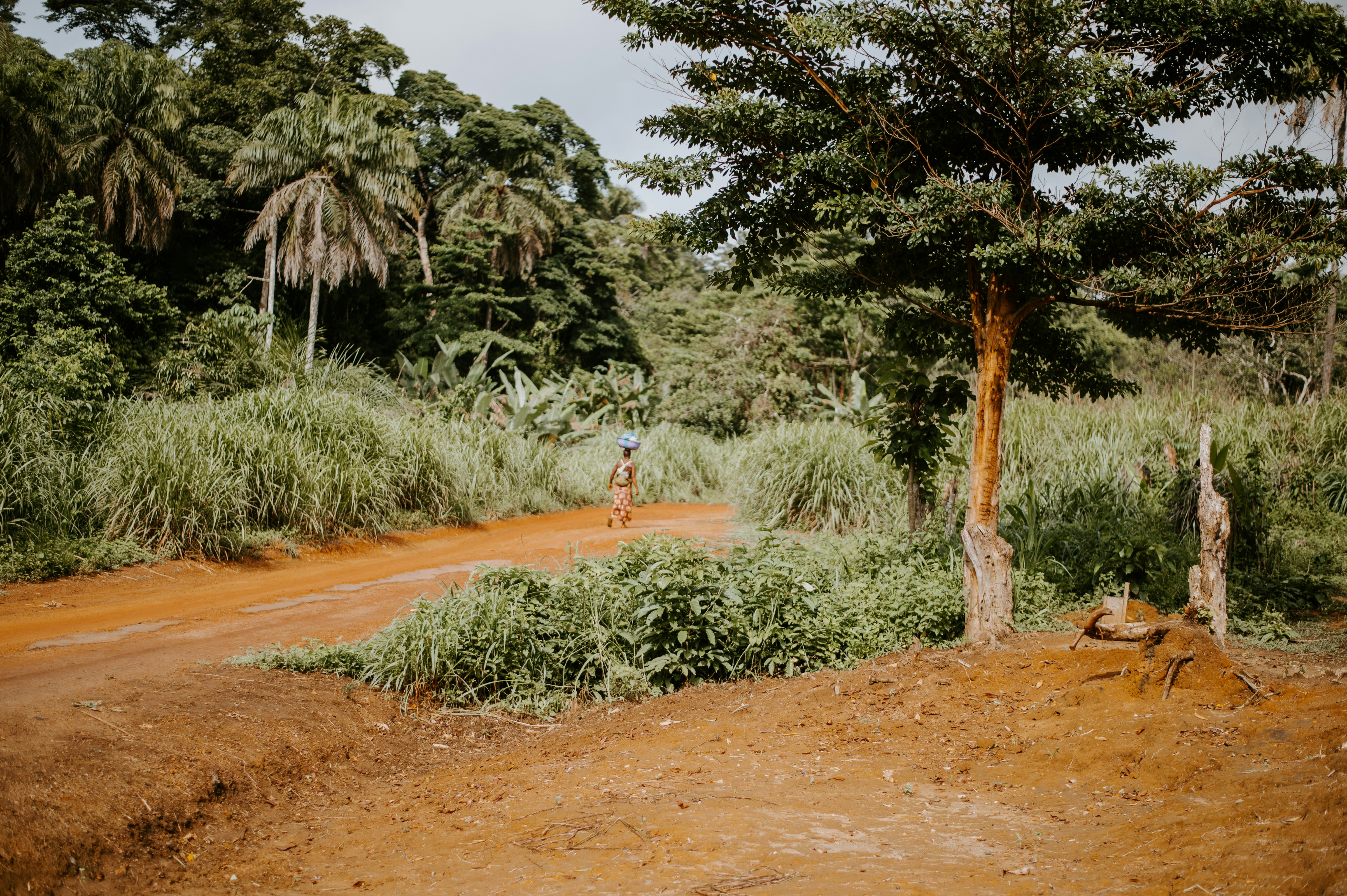 Stay online in the Central African Republic with a prepaid eSIM from eSIMlii. Instant activation, no roaming charges, and reliable coverage.