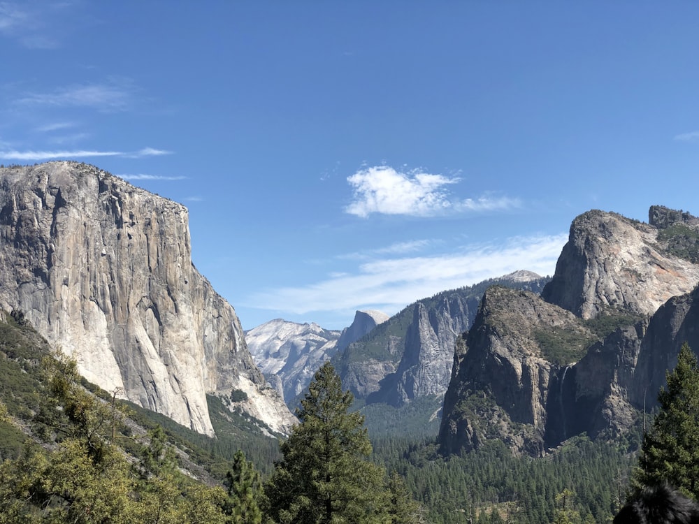 a view of a mountain range with trees in the foreground