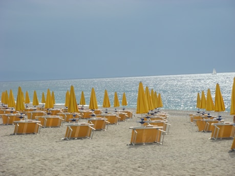 yellow umbrellas