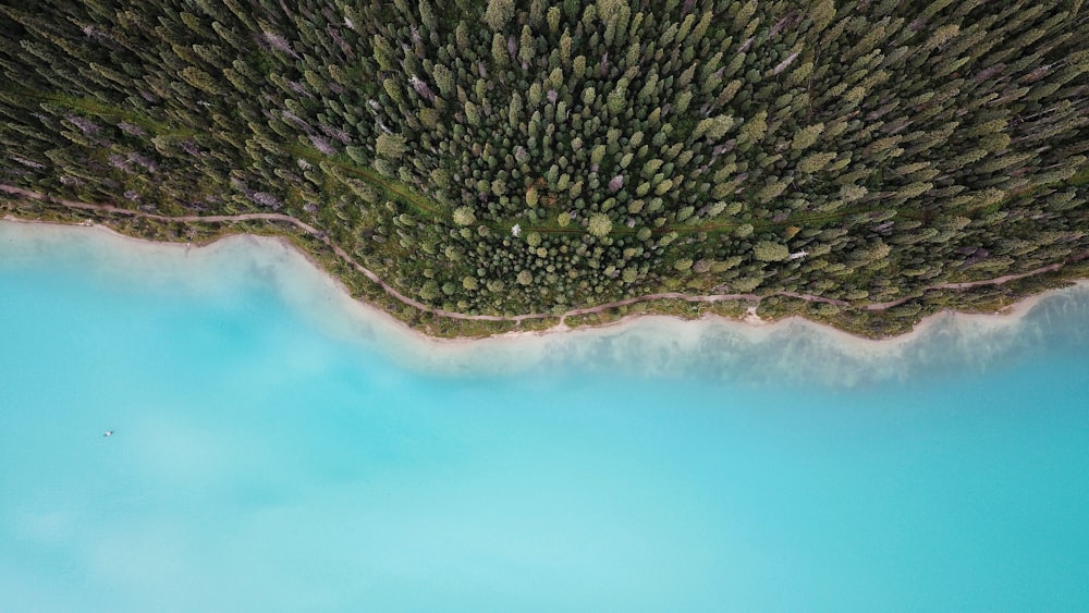 aerial photography of a white sand beach