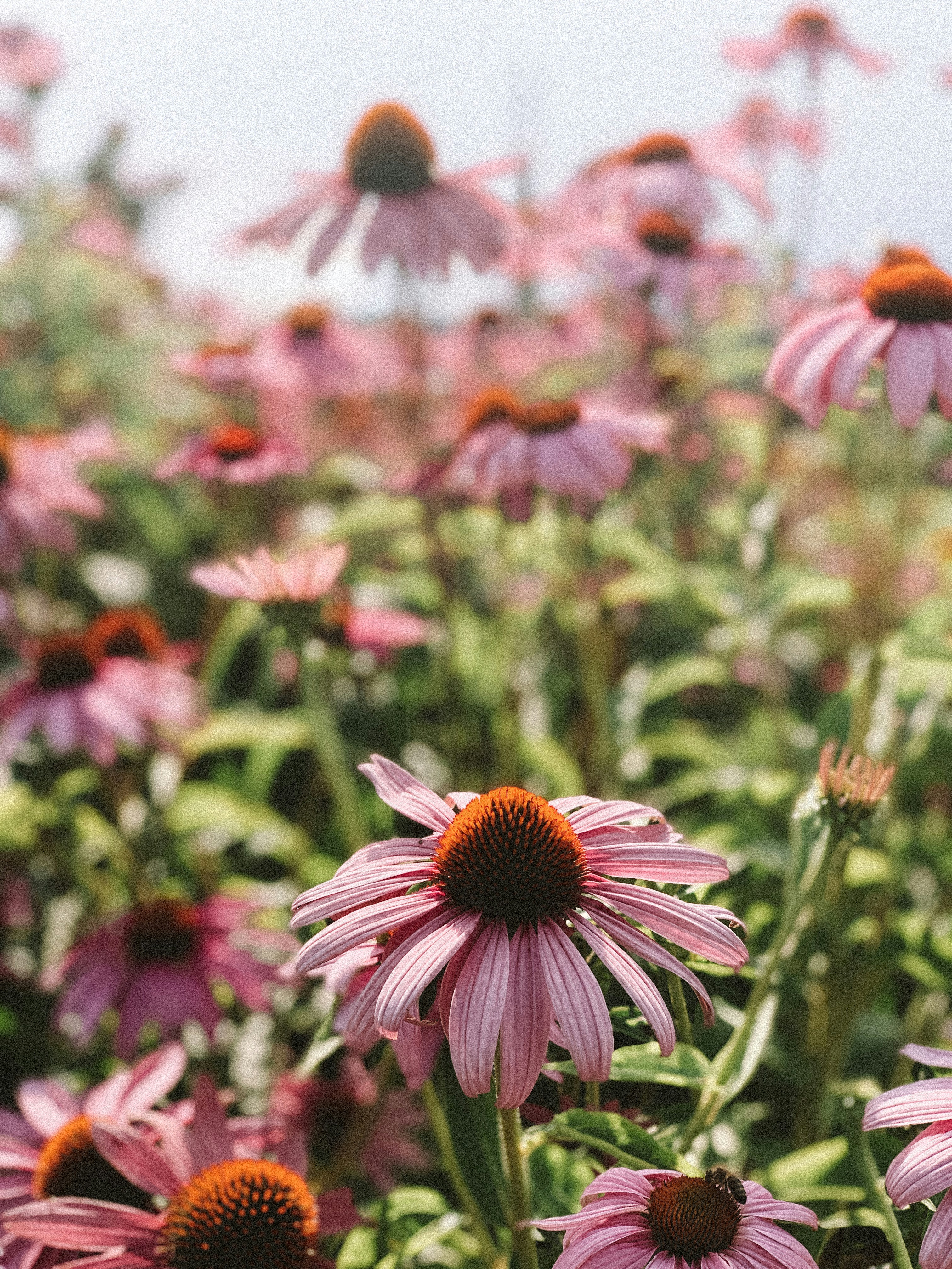 Photo by charlotablunarova