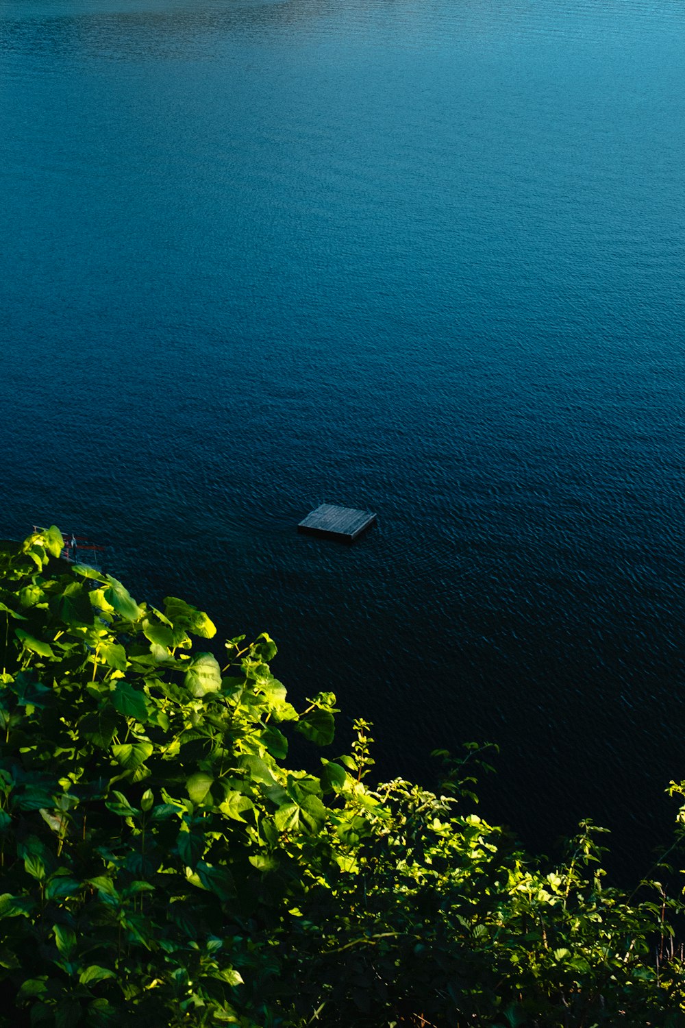 body of water during daytime