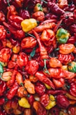 pile of chili