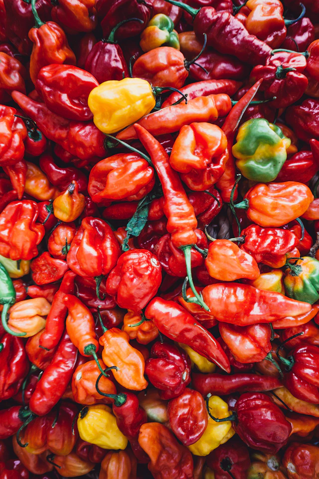 Chiles toreados