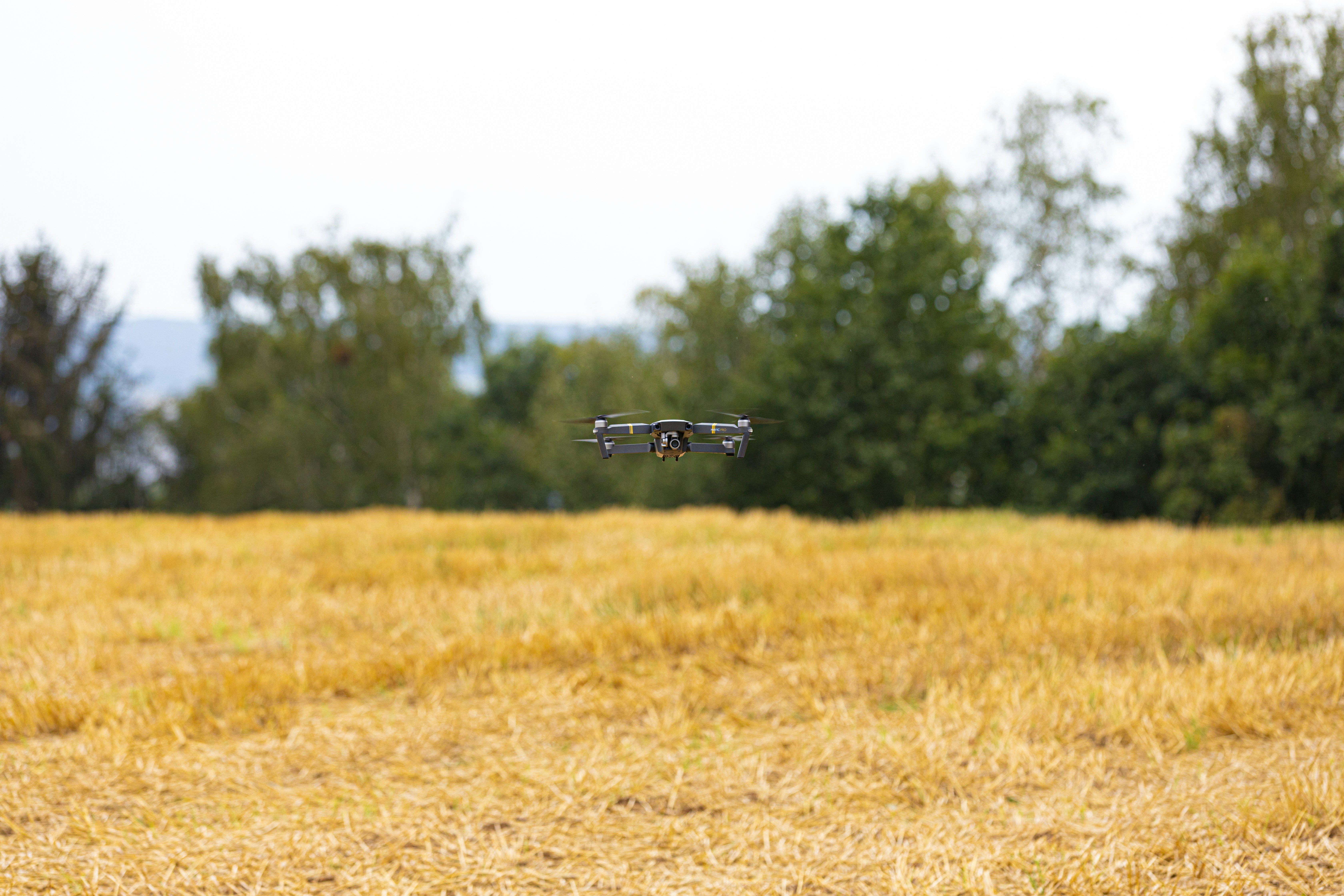 black drone near forest