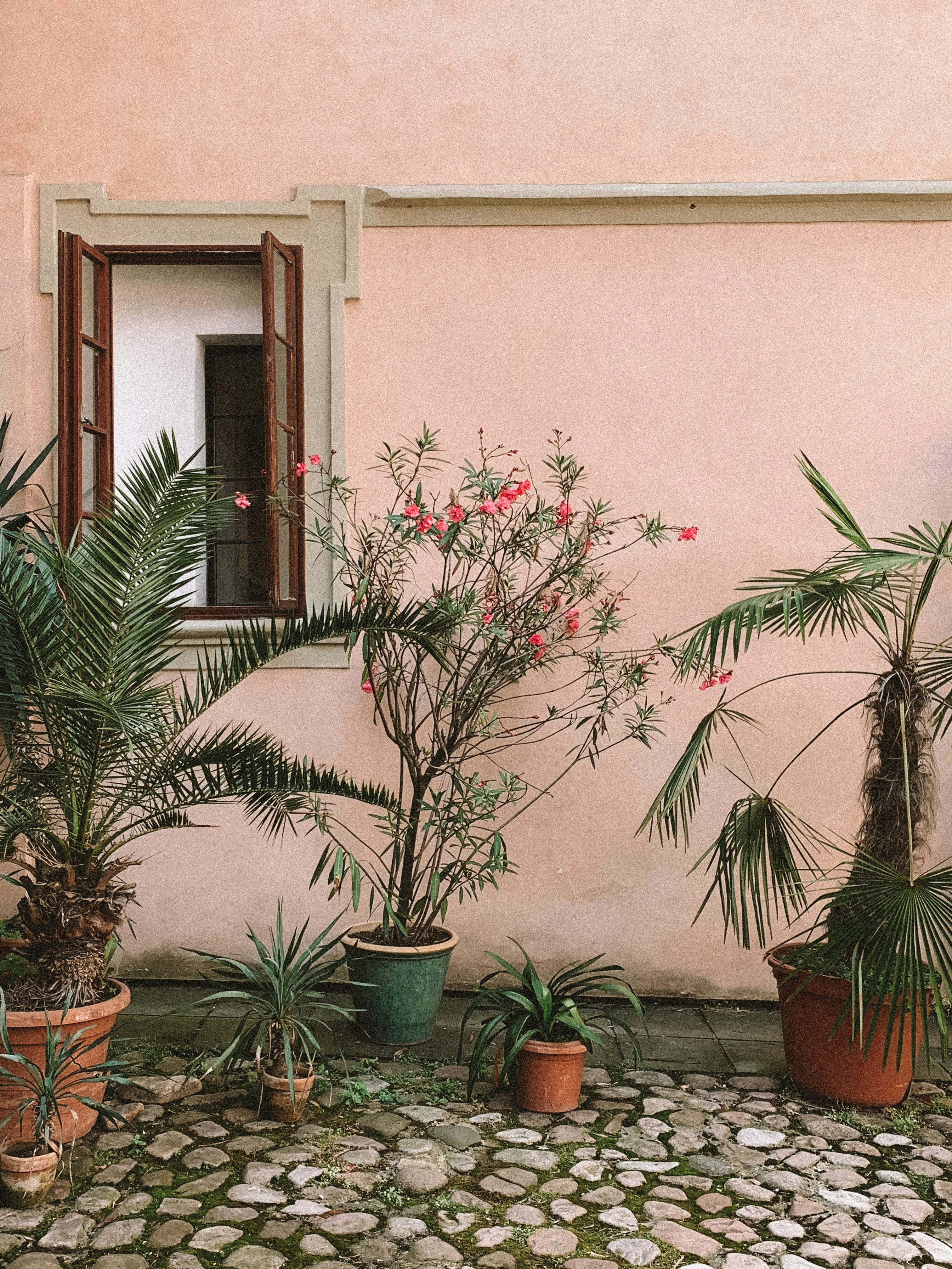 Photo by charlotablunarova