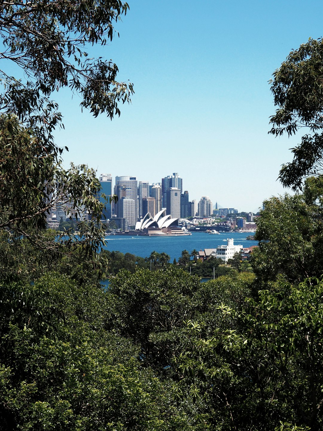 Sydney Opera House near blue sea under blue and white skies during daytime