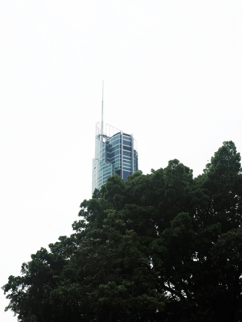 edifício alto com paredes de vidro azul perto de árvores